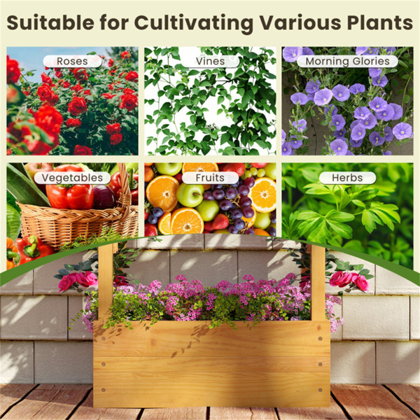 60英寸高的高架木制花园床，44磅的屋顶种植箱，带2个侧格，用于庭院后院-10