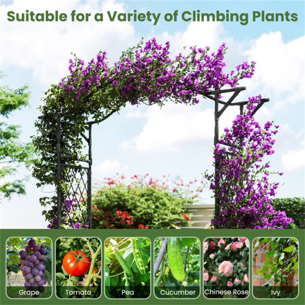 花园拱形棚架-PE涂层金属，67英寸x15.5英寸x83英寸攀缘藤植物支架-10