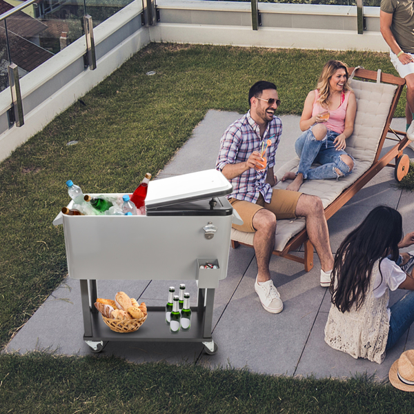 冷冻推车-铁喷塑款-38