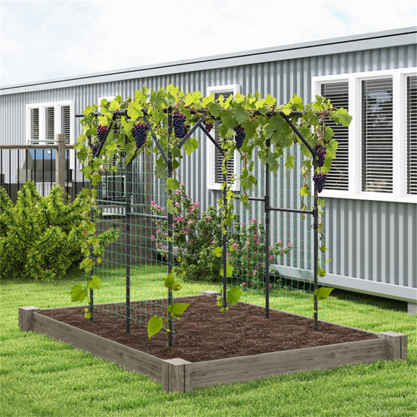 大型花园格子拱门-79英寸x59英寸x78英寸PE涂层金属，用于攀爬藤蔓的防锈植物支架-5