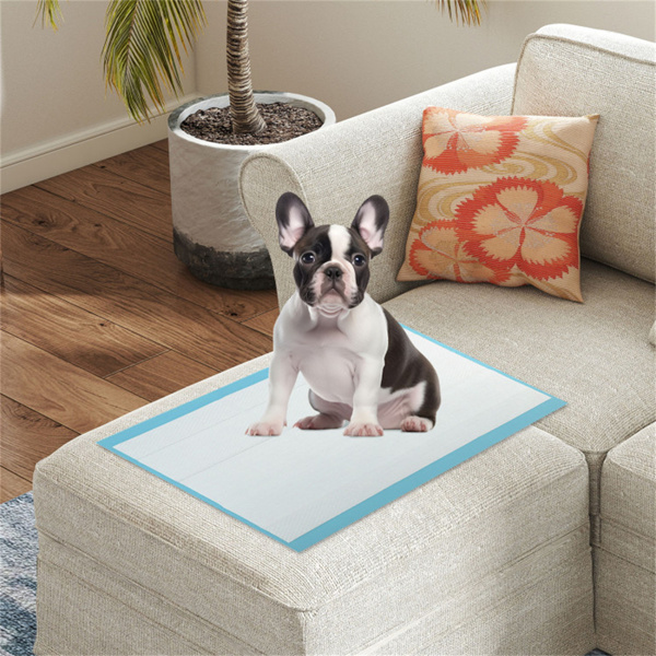 24“x17”一次性宠物便盆垫，猫、兔、狗快速吸收气味锁垫（300支）-2