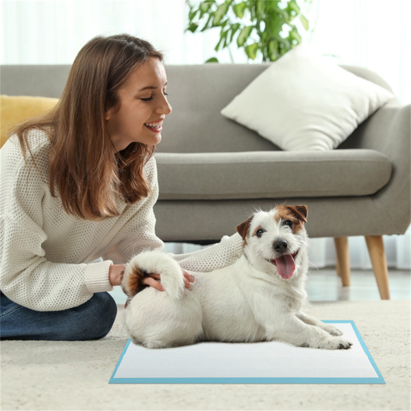 24“x17”一次性宠物便盆垫，猫、兔、狗快速吸收气味锁垫（300支）-5