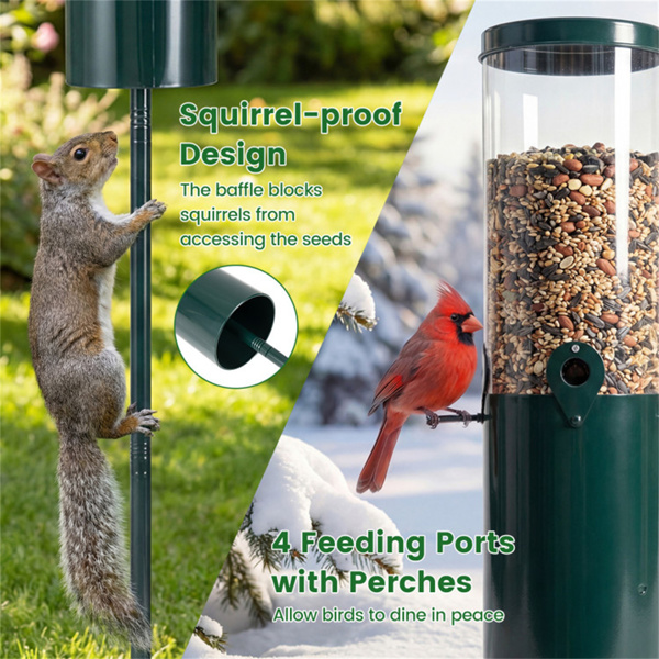 防松鼠立式喂鸟器，4个喂食口，采用重型金属和PC结构-9