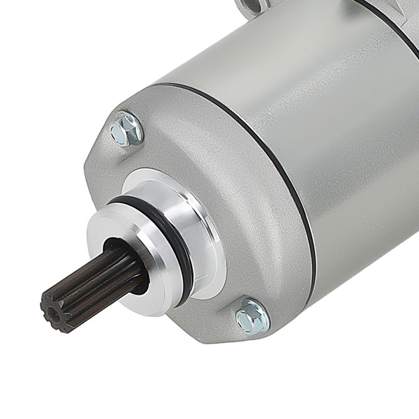 Starter Motor fit for Honda Sportrax 250 Recon 250 TRX250X TRX250 2X4 31200-HM8-003-2