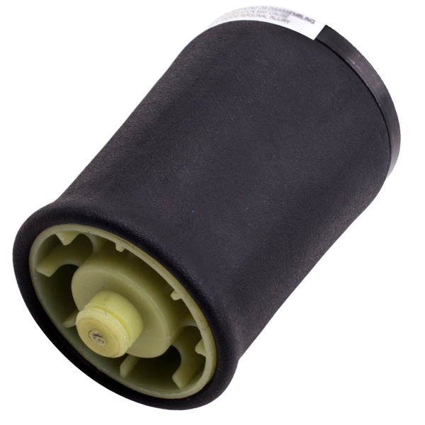 Rear Driver Side Air Suspension Strut fit for BMW E53 X5 2000 2001 2002 2003-2006-2