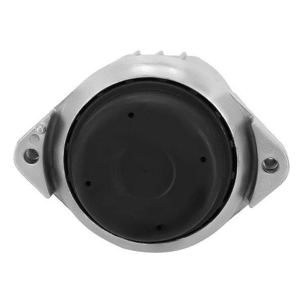 2× Engine Motor Mount L&R Kit fit for BMW 325i 325xi 330i 330i 2006 22116760330 9682-2