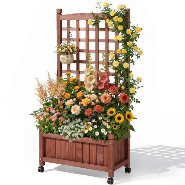 63*30*127CM 红棕色 万向轮种植花架 杉木 木种植-15