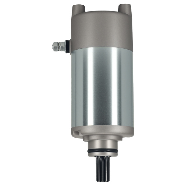 Starter Motor fit for Yamaha Bear Tracker 250 1999-2004 4XE-81890-00-00 12V 9T-6