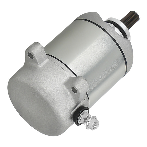 Starter Motor fit for Honda Sportrax 250 Recon 250 TRX250X TRX250 2X4 31200-HM8-003-3