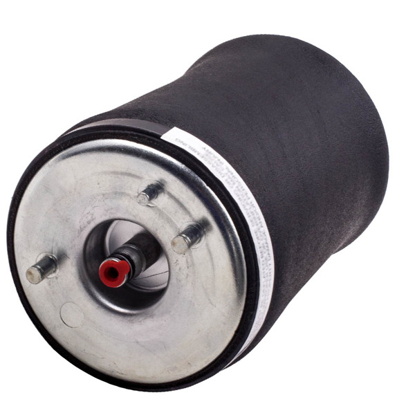 Rear Driver Side Air Suspension Strut fit for BMW E53 X5 2000 2001 2002 2003-2006-6