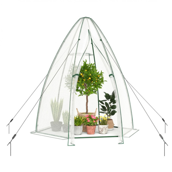 六角形迷你温室，带拉链门和卷帘窗，PE覆盖室外植物房 - 白色-1