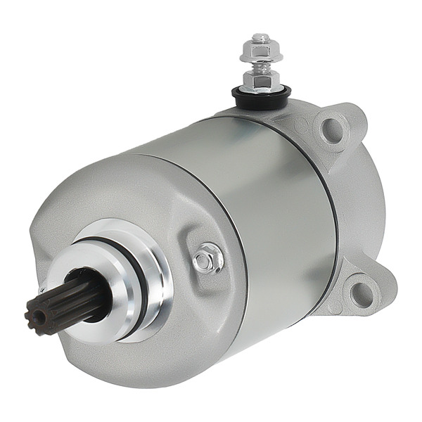 Starter Motor fit for Honda Sportrax 250 Recon 250 TRX250X TRX250 2X4 31200-HM8-003-6