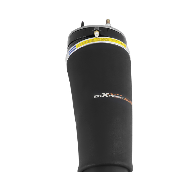 Air Suspension Strut Spring Assembly fit for Range Rover Front Left RNB000750 03-09-1