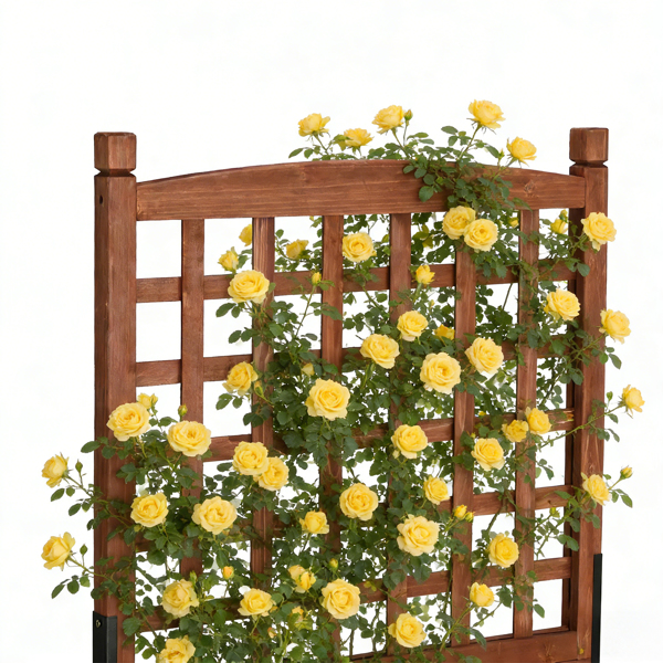 63*30*127CM 红棕色 万向轮种植花架 杉木 木种植-18