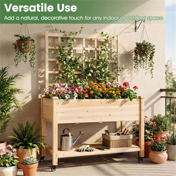 47英寸带棚架和滚轮的高架花园床，用于攀爬植物的移动式冷杉木种植箱-3