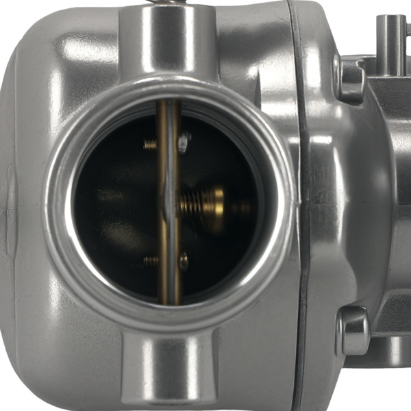 Carburetor fit for Massey Ferguson 202 204 2135 TSX605 TSX683 181532M91 533969M91-1