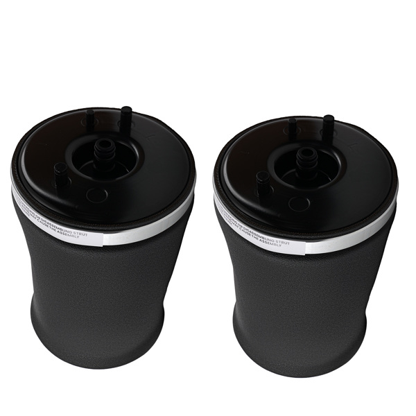 2x Rear L/R Air Ride Suspension Bag fit for BMW X5 E53  4.4i 37126750355 37126750356-6