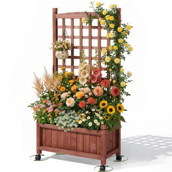 63*30*127CM 红棕色 万向轮种植花架 杉木 木种植-13