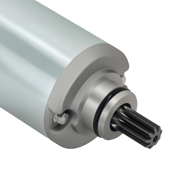 Starter Motor fit for Yamaha Bear Tracker 250 1999-2004 4XE-81890-00-00 12V 9T-3