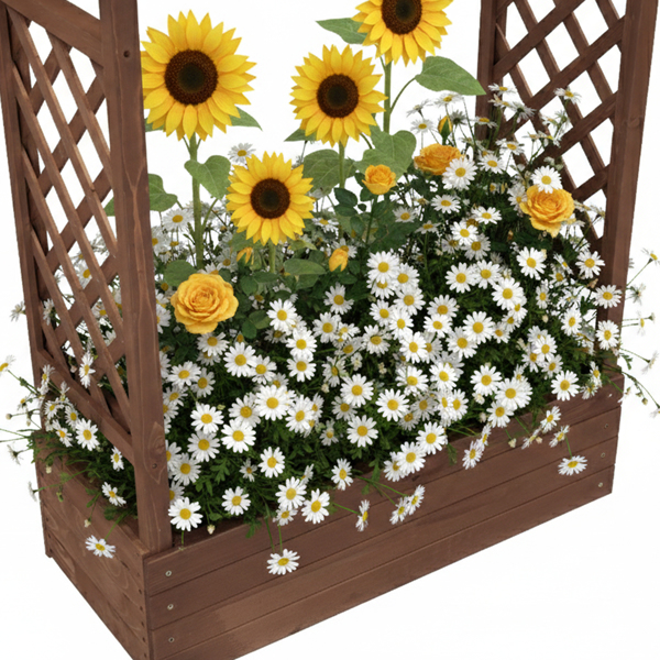 110*44.5*113CM 碳化色 带拱形格子 高架花园床 杉木 木种植-14