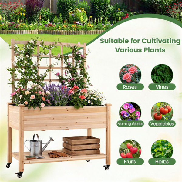 47英寸带棚架和滚轮的高架花园床，用于攀爬植物的移动式冷杉木种植箱-9