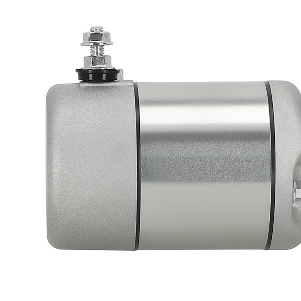 Starter Motor fit for Honda Sportrax 250 Recon 250 TRX250X TRX250 2X4 31200-HM8-003-5