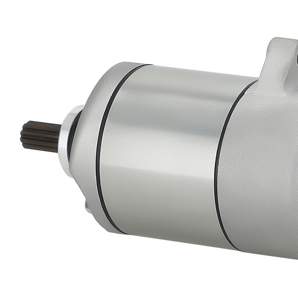 Starter Motor fit for Honda Sportrax 250 Recon 250 TRX250X TRX250 2X4 31200-HM8-003-4