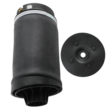 Rear Air Suspension Bag fit for Mercedes-Benz R-Class R350 R500 W251 2513200425