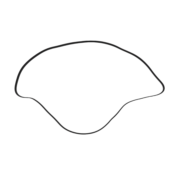 Serpentine Belt Drive Component Kit fit for Ford F150 5.4L 2009-2010 1L2Z6C348AA-1