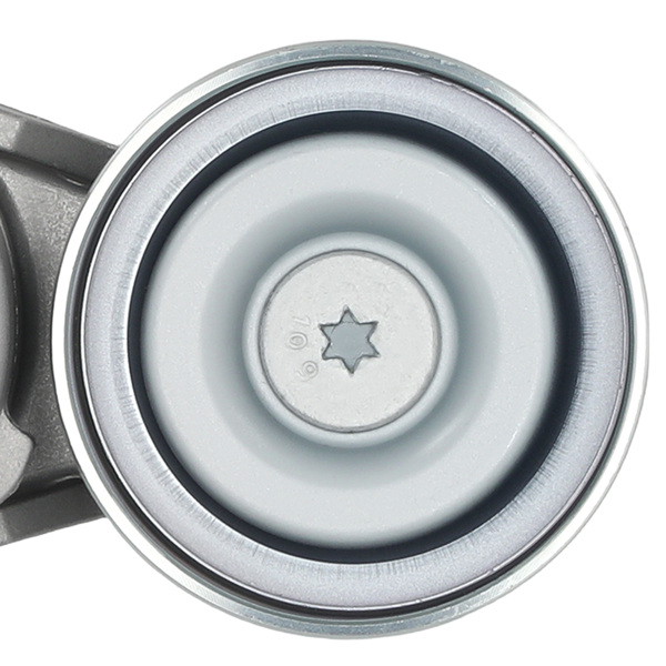 Accessory Belt Tensioner fit for Nissan NV200 Cube Sentra 2007-2012 49467 39162-4