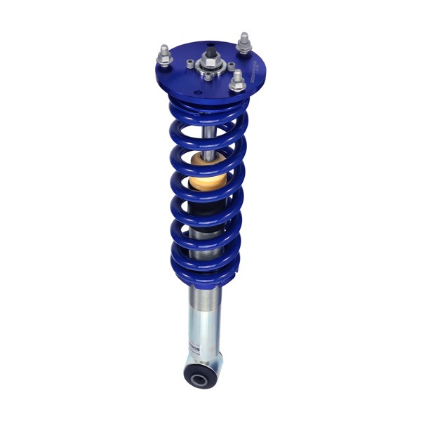 Complete Struts & Shocks Sprigs fit for Ford F-150 2004-2008 Mark LT 06-08 2WD Only-5