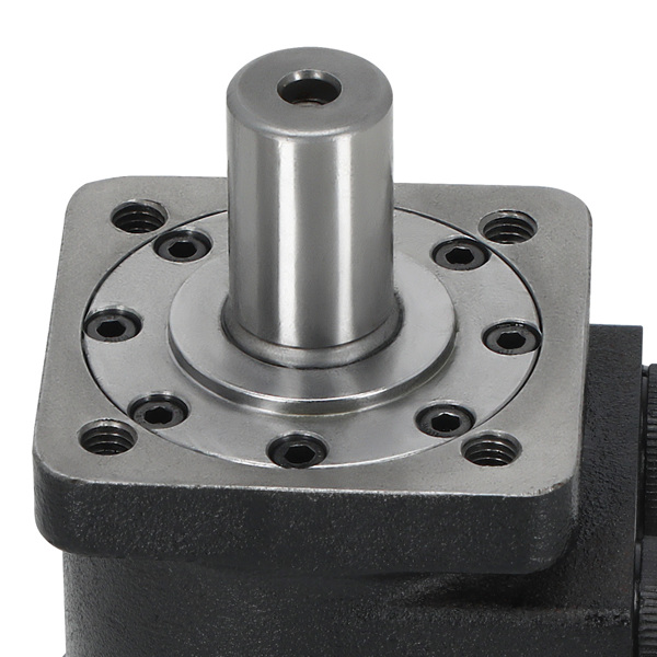 Hydraulic Gerotor Motor 101-1001-009 fit for Eaton Char-Lynn H Series Black-4