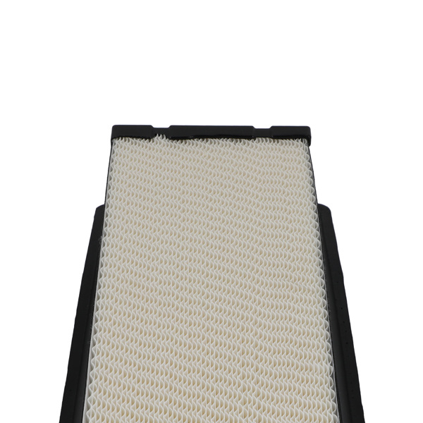 Truck Air Filter fit for Kenworth T680 T800 fit for Paccar PX9 Engine WA11077 P621730-5