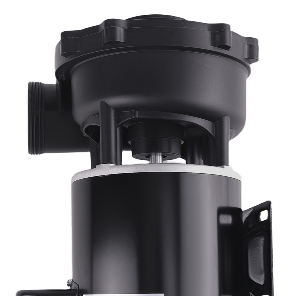 Premium 4HP Spa Pump Motor 230V Dual-Speed Spa Pump  3721621-1D 37216211D new-2