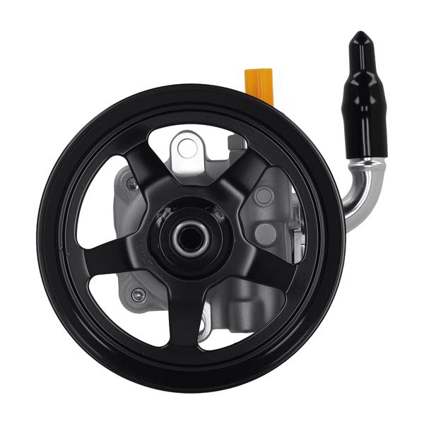 Power Steering Pump w/Pulley fit for Pontiac Chevrolet Caprice Pontiac G8 19318665-4