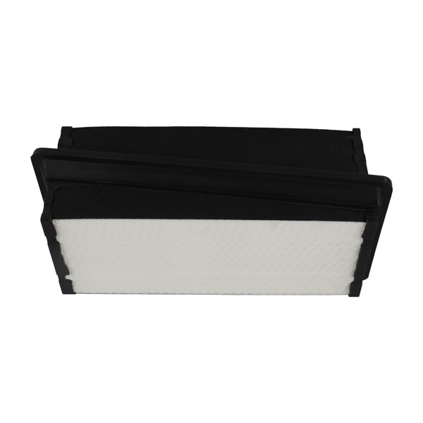 Truck Air Filter fit for Kenworth T680 T800 fit for Paccar PX9 Engine WA11077 P621730-6