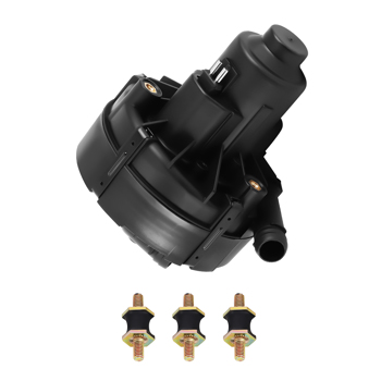Secondary Air Injection Pump fit for Smart Fortwo Passion Pure 2008-15 0 580 000 039