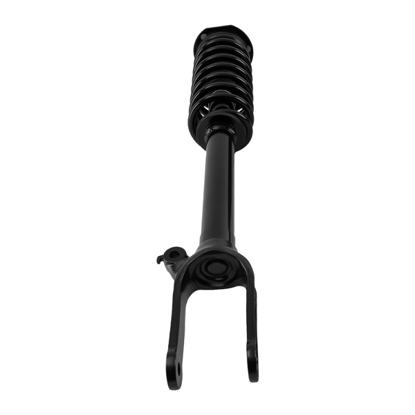 Front Pair Complete Struts & Spring Assemblies fit for 2007-2012 Mercedes-Benz GL450-4