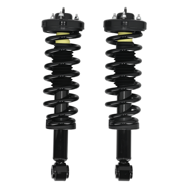 Complete Rear Front Struts Assembly fit for Ford F-150 04-08 Lincoln Mark LT 06-08-1