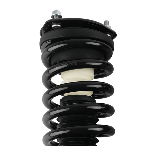 Front Pair Quick Struts & Coil Spring fit for Mercury Milan 2010-2011 3.0L 172596-5