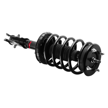 Front Quick Complete Strut-Coil Sping fit for Ford Mustang 2005-2010 172138