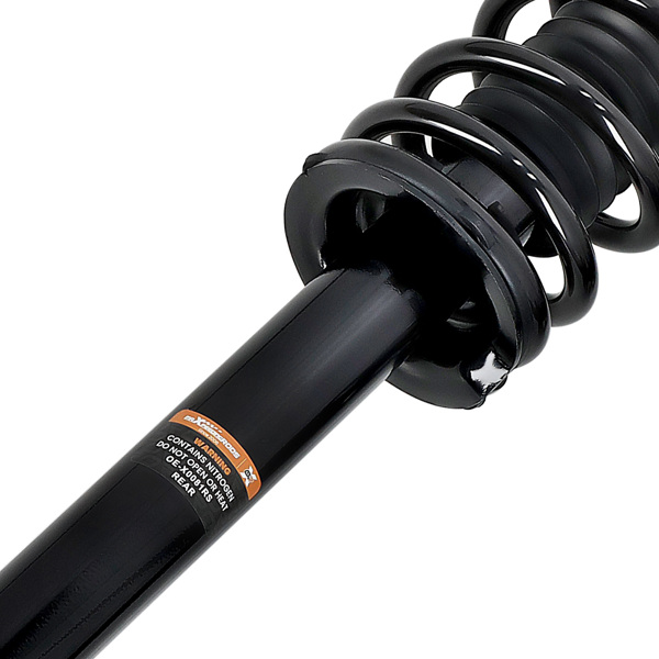 2x Rear Struts & Shocks Assembly Set fit for 2003-2007 Honda Accord 04-08 Acura TL-5