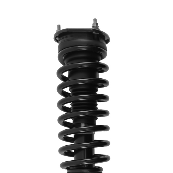 Front Pair Complete Struts & Spring Assemblies fit for 2007-2012 Mercedes-Benz GL450-6