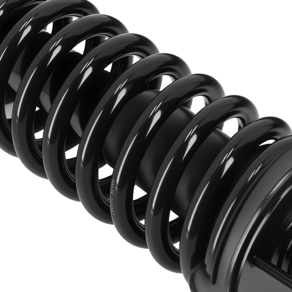 Front Rear Strut w/ Coil Spring Assembly fit for Mercury Grand Marquis 2003-2011-3