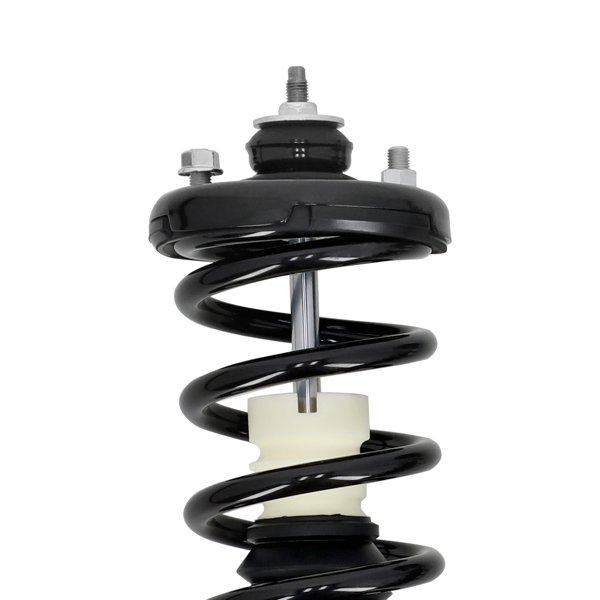 2x Rear Struts & Shocks Assembly Set fit for 2003-2007 Honda Accord 04-08 Acura TL-3