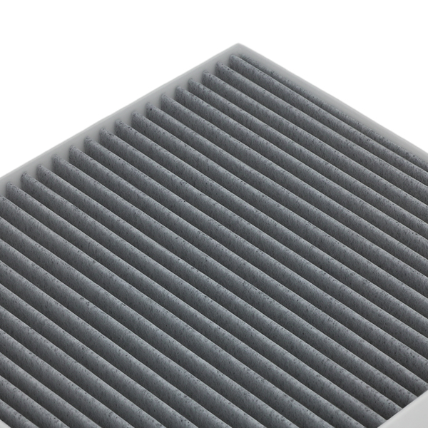 Cabin Air Filter fit for Ram 1500 V8 4.7L 2014-2015 5058693AA CF10729 C25869-2