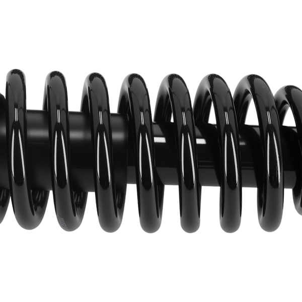 Front Rear Strut w/ Coil Spring Assembly fit for Mercury Grand Marquis 2003-2011-5