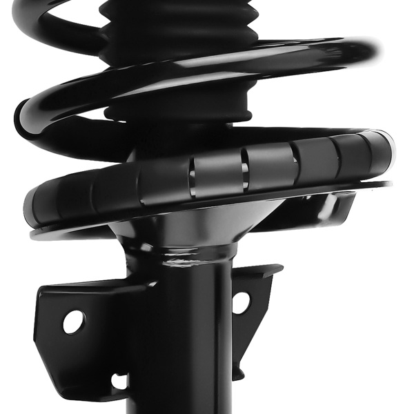Front Quick Complete Strut-Coil Sping fit for Ford Mustang 2005-2010 172138-1