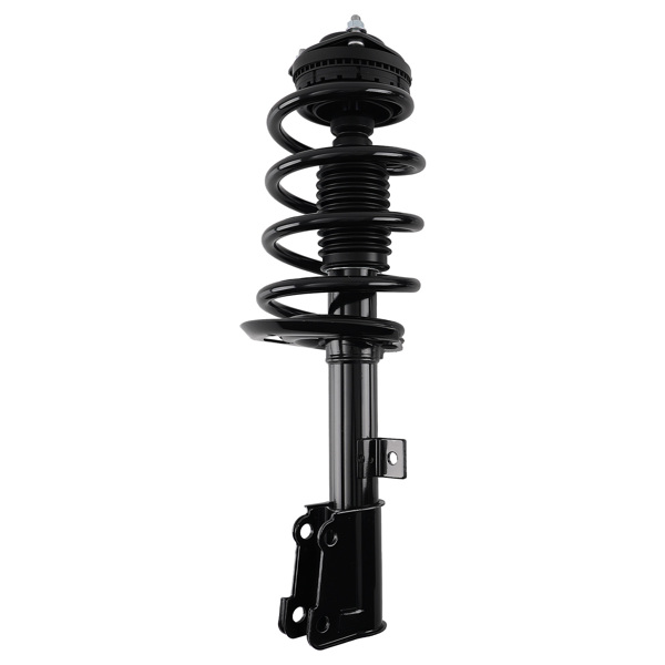 Front Complete Struts w/ Coil Springs LH RH fit for Dodge Journey 09-20 2.4L-1