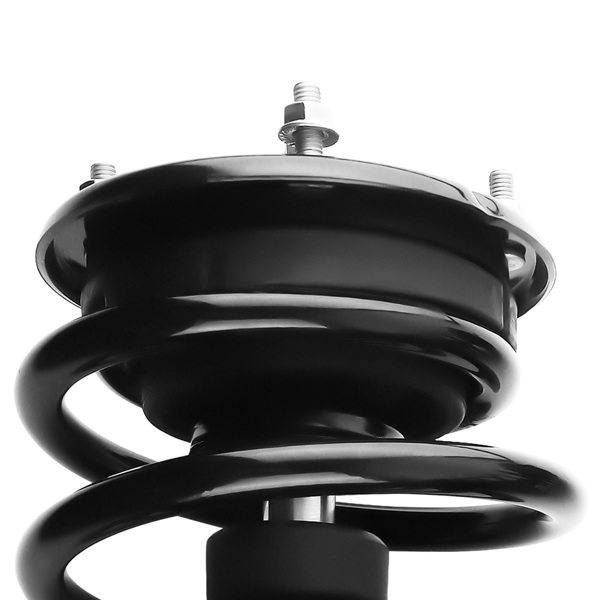 Front Quick Complete Strut-Coil Sping fit for Ford Mustang 2005-2010 172138-5